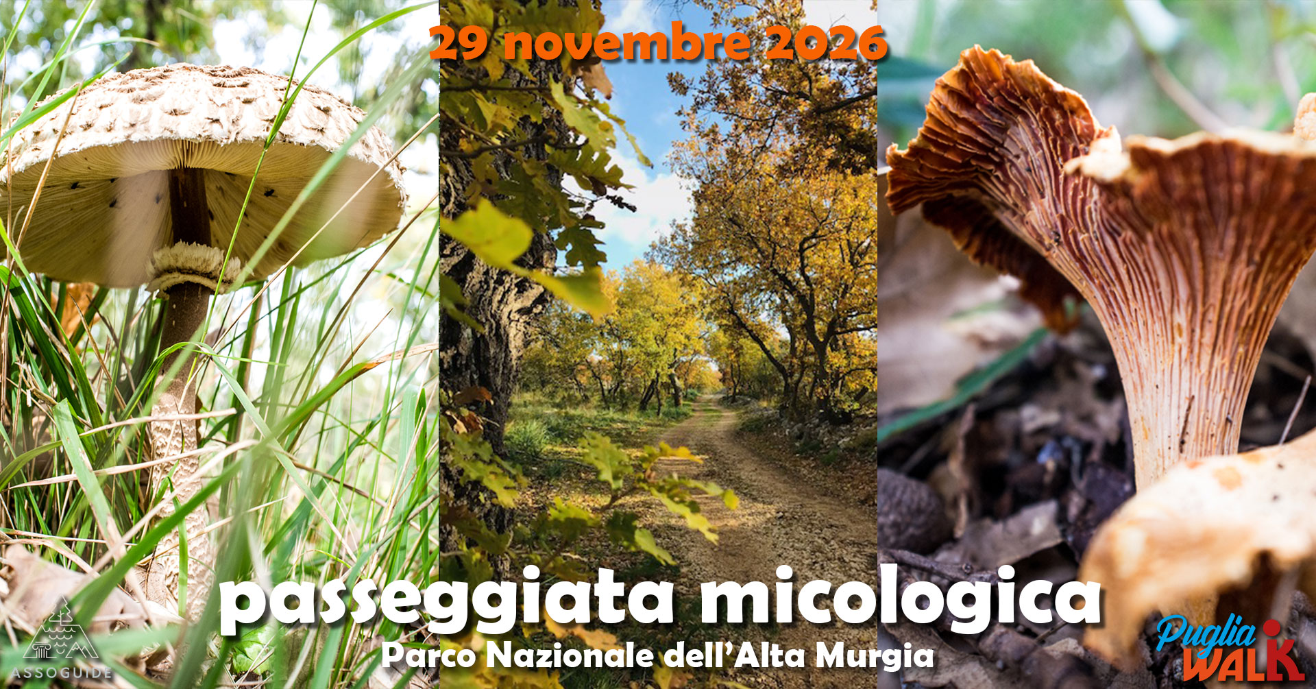 passeggiatamicologica_29nov26